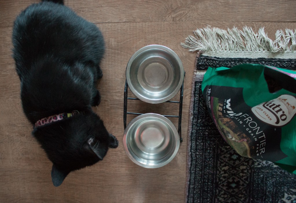 NUTRO CLEAN FEEDING - THE NEW FEED CONCEPT FOR CATS