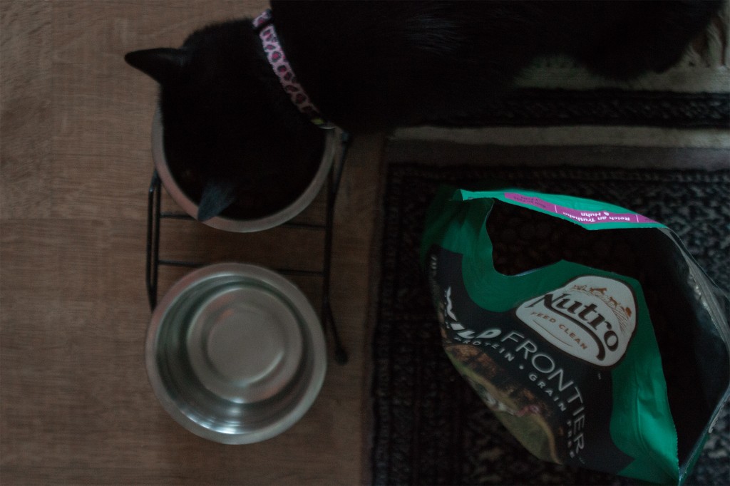 NUTRO CLEAN FEEDING - THE NEW FEED CONCEPT FOR CATS