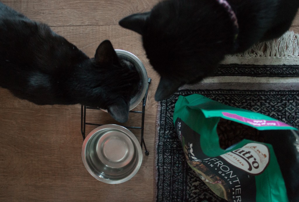 NUTRO CLEAN FEEDING - THE NEW FEED CONCEPT FOR CATS
