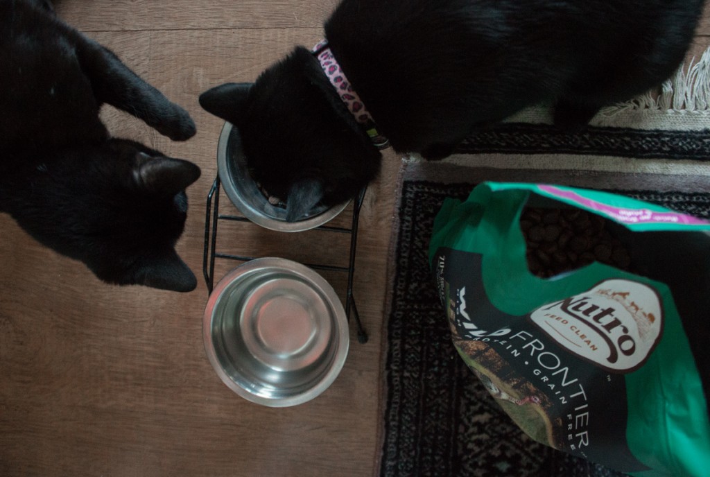 NUTRO CLEAN FEEDING - THE NEW FEED CONCEPT FOR CATS