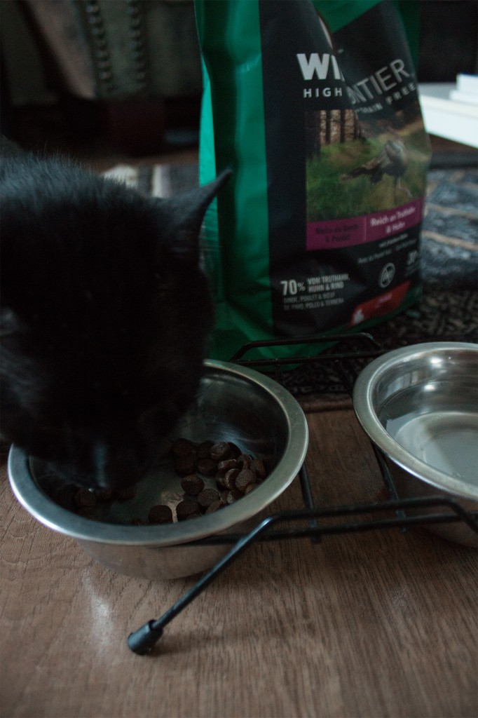 NUTRO CLEAN FEEDING - THE NEW FEED CONCEPT FOR CATS