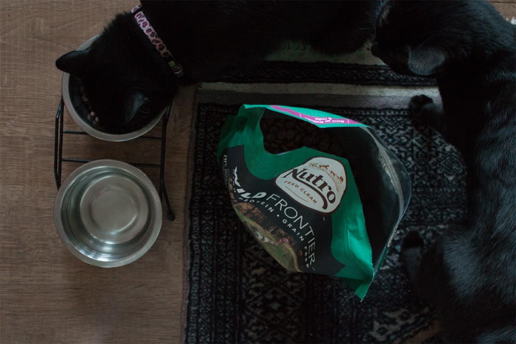 NUTRO CLEAN FEEDING - DAS NEUE FUTTERKONZEPT FÜR KATZEN