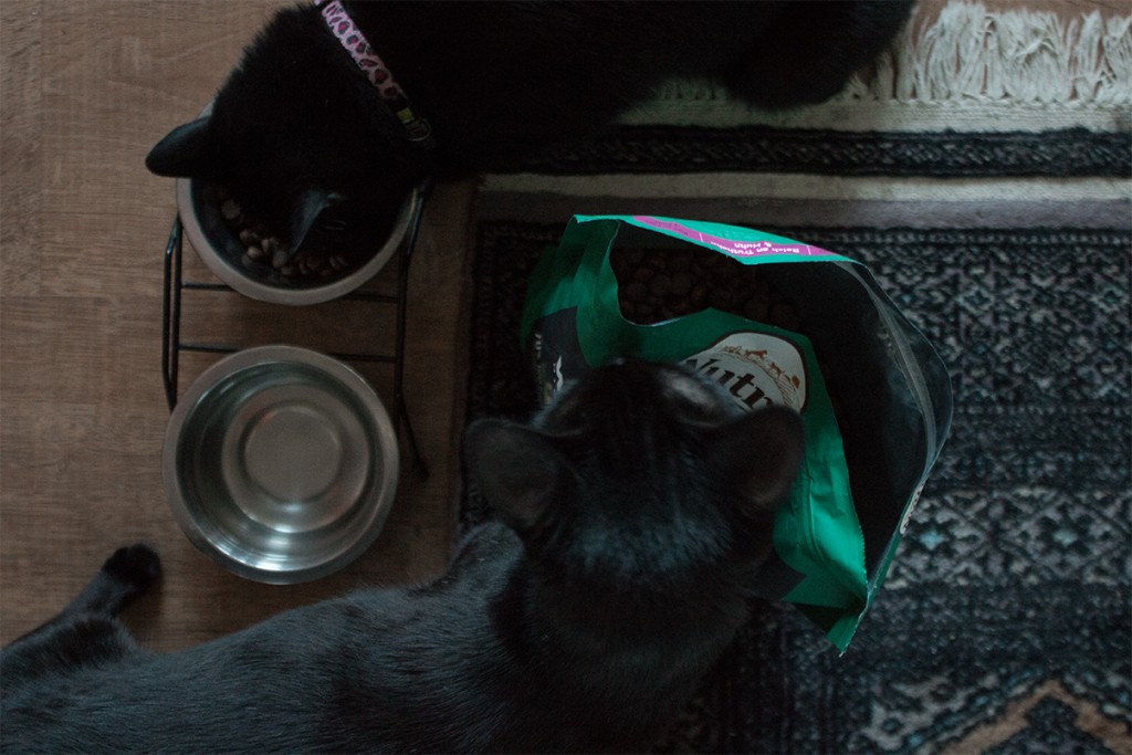 NUTRO CLEAN FEEDING - THE NEW FEED CONCEPT FOR CATS