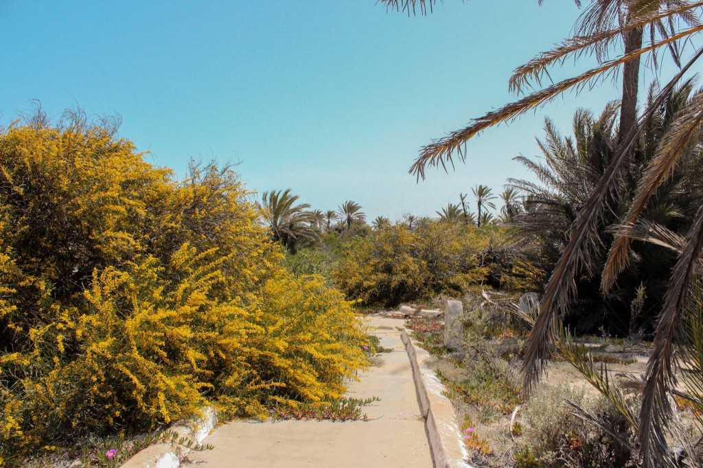 LOST PLACES - ERKUNDUNG DES VERLASSEN HOTELS TANIT AUF DJERBA